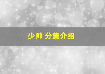 少帅 分集介绍